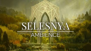 Ravnica  Selesnya Guild Ambience  Ambient Magic the Gathering [upl. by Asiar]