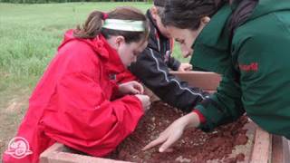 Archaeology at PortlaJoye NHS [upl. by Broddy]