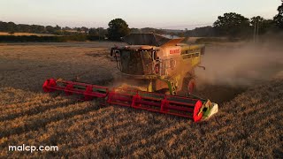 4Kᵁᴴᴰ Harvest 2023 Phil Livertons Claas Lexion 770 TT cutting wheat at North Green [upl. by Hiroshi]