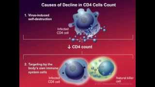 How HIV Causes Disease [upl. by Adniram]