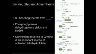 Serine Glycine Biosynthesis [upl. by Bamby]