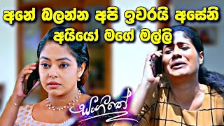 sl sihina tv  සංගීතෙ  sangeethe එදා තමයි දවස [upl. by Betty]