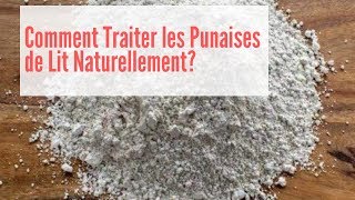 Comment se Débarrasser des Punaises de Lit Naturellement  Comment se Débarrasser des Puces de Lit [upl. by Hilaire]