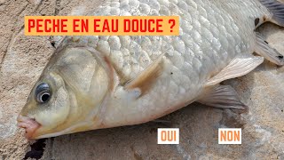 SONDAGE  PÊCHE en EAU DOUCE [upl. by Amirak]