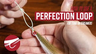 How To Tie On A Streamer With A Perfection Loop  FLY FISHING KNOTS [upl. by Aser]