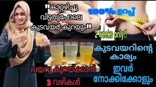 💯വയറു കുറയ്ക്കാന്‍ 3 Types Of Weight Loss Drinks  Lose Belly Fat In 2 Weeks At Home  No Exercise [upl. by Cecile798]