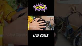 Removal Big Lice Part1 licecomb short [upl. by Akimas187]