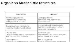 Mechanistic Vs Organic Organizational Structure [upl. by Nary]