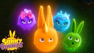 SUNNY BUNNIES  Multicolor Bunnies  Season 5  Cartoons for Children [upl. by Secrest]