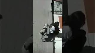 Street Dog Pees On Girl Gets Put Down [upl. by Hedwiga]