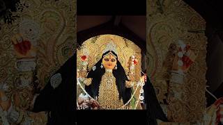 Chandanagar jagadhatri puja 2024 trending viralshorts chandanagar jagadhatripuja2024 shorts [upl. by Haney]