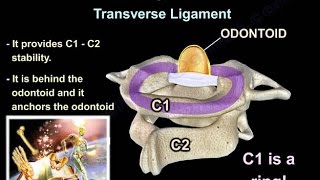 Cervical Spine Trauma  Everything You Need To Know  Dr Nabil Ebraheim [upl. by Elyag216]