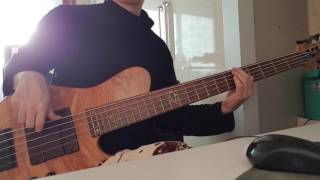 Cardigans  Sick And Tired  bass cover [upl. by Aplihs174]