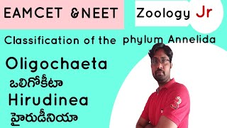 Oligochaeta  Hirudinea  Classification of phylum Annelida [upl. by Nohtiek]