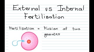 External vs Internal Fertilisation [upl. by Kleinstein]