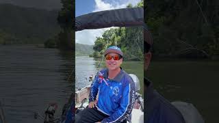 Crocodiles in the Daintree river ￼ [upl. by Maidel]