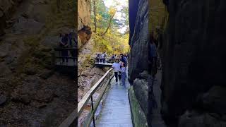 Discovering Flume Gorge in NH 🍁 🍃 🍂 [upl. by Ardnwahs55]