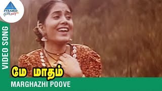 துன்பத்தை மறக்க இளையராஜா பாடல்கள்  Tamil Best Love Songs Collections  Ilaiyaraja Evergreen Songs [upl. by Porta798]