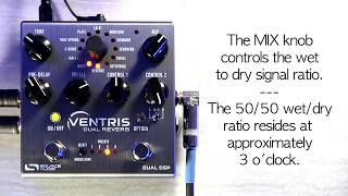 The Ventris Dual Reverb Outboard Spring Reverb [upl. by Atinaujnas809]