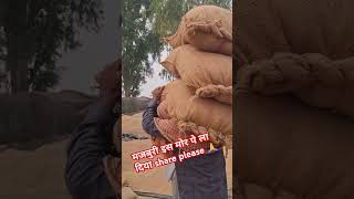 Jindgi ki tals me ham song music hindisong bollywood bollywoodsongs yourubeshorts shorts [upl. by Eimor65]