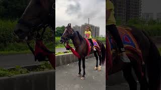 Dhruhi Horse 🐎 Riding  horse horses ghoda horseriding horselover ytvideo shortsfeed dhruhi [upl. by Marysa]