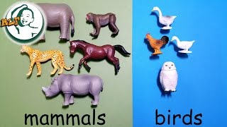 Learn animal classification and animal sounds for kids with Tomy Ania Animal part 2 アニア アニマルだ [upl. by Herrington]