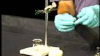 Organic Chemistry Lab Demo Isolation of Limonene part 2 [upl. by Anitaf188]