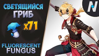 СВЕТЯЩИЙСЯ ГРИБ  Сбор Всех ЛУЧШИЙ Маршрут  Genshin Impact [upl. by Burns]