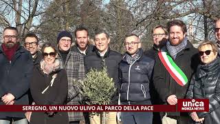 Seregno un nuovo ulivo al Parco della Pace [upl. by Tella958]