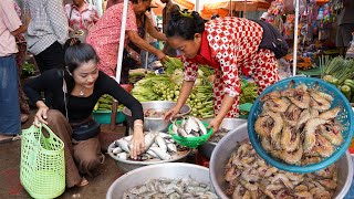 Market show   Wet market  Ocean food is so fresh  Yummy Ocean food cooking [upl. by Tod]