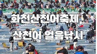 화천가볼만한곳 화천산천어축제 산천어 얼음낚시 [upl. by Mortensen]