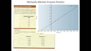 Lecture 5B  More MichaelisMenten Enzyme Kinetics [upl. by Philoo94]