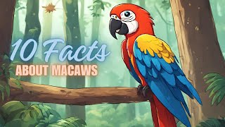 10 Amazing Macaw Facts for Kids Exploring the Colorful World of Tropical Parrots [upl. by Dorette]