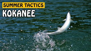 SUMMER KOKANEE SALMON TACTICS  Fishing with Rod [upl. by Panayiotis]