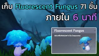 Genshin impact เก็บ Fluorescent Fungus 71 ชิ้น ภายใน 6 นาที [upl. by Mckee303]