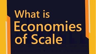 What is economies of scale  Types of Economies of Scale  Economics Terminology  SimplyInfonet [upl. by Acina793]