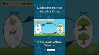 Seed Dispersal  Relationship between Animals amp Plants  Pollination Fertilisation Science shorts [upl. by Anayit399]