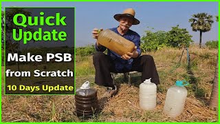 Making PSB Plant Food From Scratch Update 2 [upl. by Pierro516]