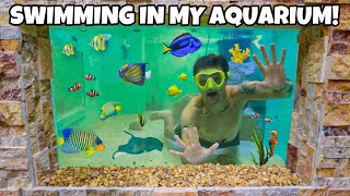 Swimming With My FISH inside 4000G SALTWATER REEF POND [upl. by Brazee]