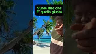 CHIAMARSI ALFREDO È DIVENTATO UN PROBLEMA MA HO LA SOLUZIONE 🙄 temptationislandalfredcornalove [upl. by Enetsirk]