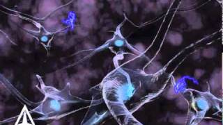 How Neurotransmission amp brain signals work  3D animation [upl. by Nahte637]