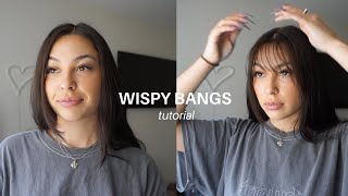 HOW I CUT WISPY BANGS AT HOME  Lauren Kubiske [upl. by Ahtikal]