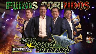 Puros Corridos de banda Los Alegres Del Barranco [upl. by Rubbico294]