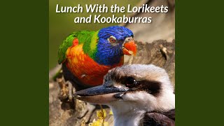 Morning Chorus PaleHeaded Rosella Laughing Kookaburra Dollarbird Rainbow Lorikeets Pied [upl. by Cohligan]