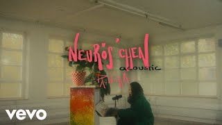 PANTHA  Neuröschen Acoustic Official Video [upl. by Hauck157]