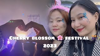 CHERRY BLOSSOM FESTIVAL 2023🌸🎊  SHILLONG  NORTH EAST🇮🇳 [upl. by Bartholomeus]