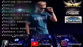 Bintang Kehidupan amp Legend Track DUGEM MUSIC  DJ Aceedz [upl. by Eckblad]