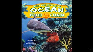 Ocean food chain read aloud 🪼🐠🦈🐟🦭🐬🐊🐳🐋🐡🦀🦞🦐🐙🦑 [upl. by Annerb]