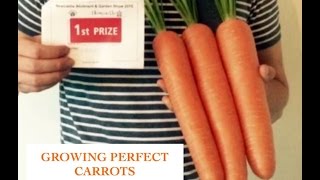 How To Grow Perfect Carrots [upl. by Aicenert]