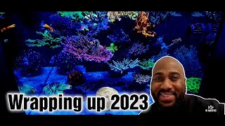 Reef tank update hcaquaticsreefing [upl. by Eizzo]